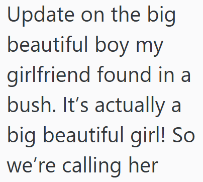 Update on the big beautiful boy my girlfriend found in a bush. It's actually a big beautiful girl! So we're calling her