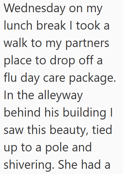 Wednesday on my lunch break I took a walk to my partners place to drop off a flu day care package. In the alleyway behind his building I saw this beauty, tied up to a pole and shivering. She had a