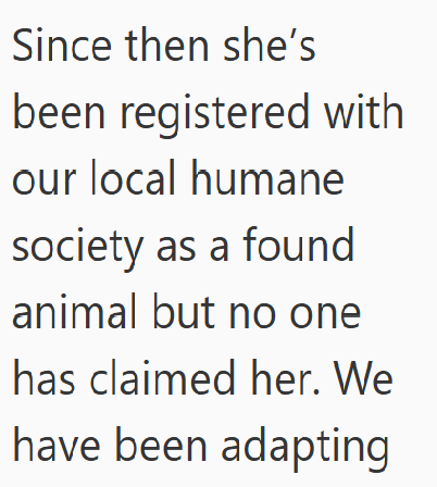 Since then she's been registered with our local humane society as a found animal but no one has claimed her. We have been adapting