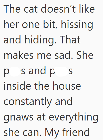 The cat doesn't like her one bit, hissing and hiding. That makes me sad. She ps and ps inside the house constantly and gnaws at everything she can. My friend
