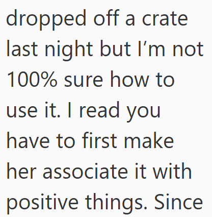 dropped off a crate last night but I'm not 100% sure how to use it. I read you have to first make her associate it with positive things. Since