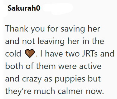 Sakuraho Thank you for saving her and not leaving her in the cold. I have two JRTS and both of them were active and crazy as puppies but they're much calmer now.