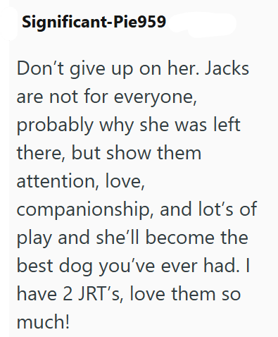 Significant-Pie959 Don't give up on her. Jacks are not for everyone, probably why she was left there, but show them attention, love, companionship, and lot's of play and she'll become the best dog you've ever had. I have 2 JRT's, love them so much!