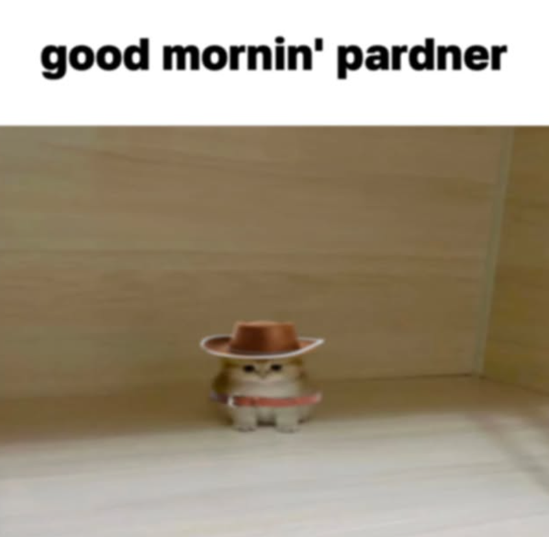 good mornin' pardner