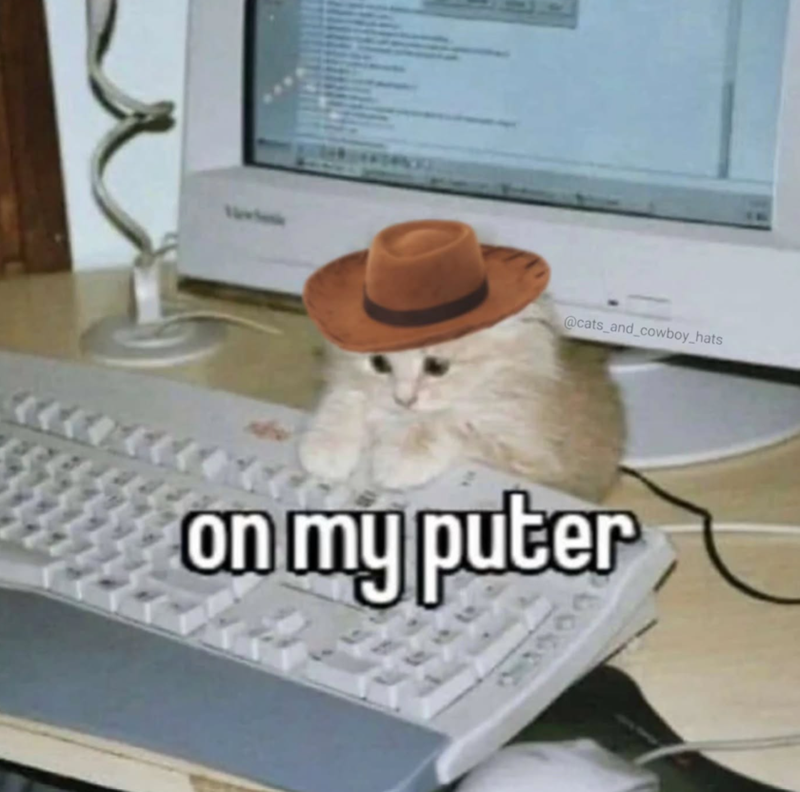 @cats_and_cowboy_hats on my puter