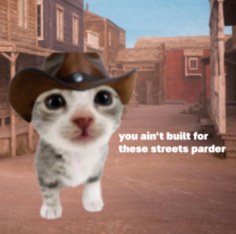 you ain't built for these streets parder