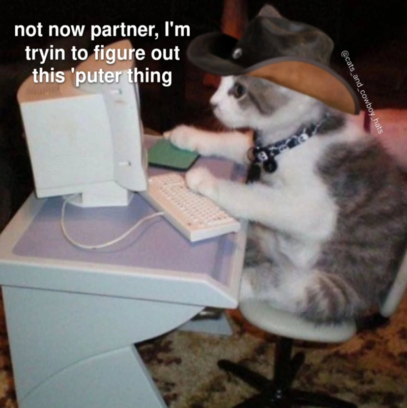 not now partner, I'm tryin to figure out this 'puter thing @cats_and_cowboy_hats