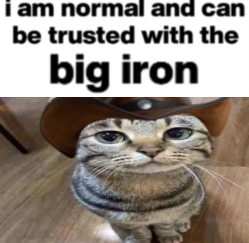 i am normal and can be trusted with the big iron cats and cowboy hats