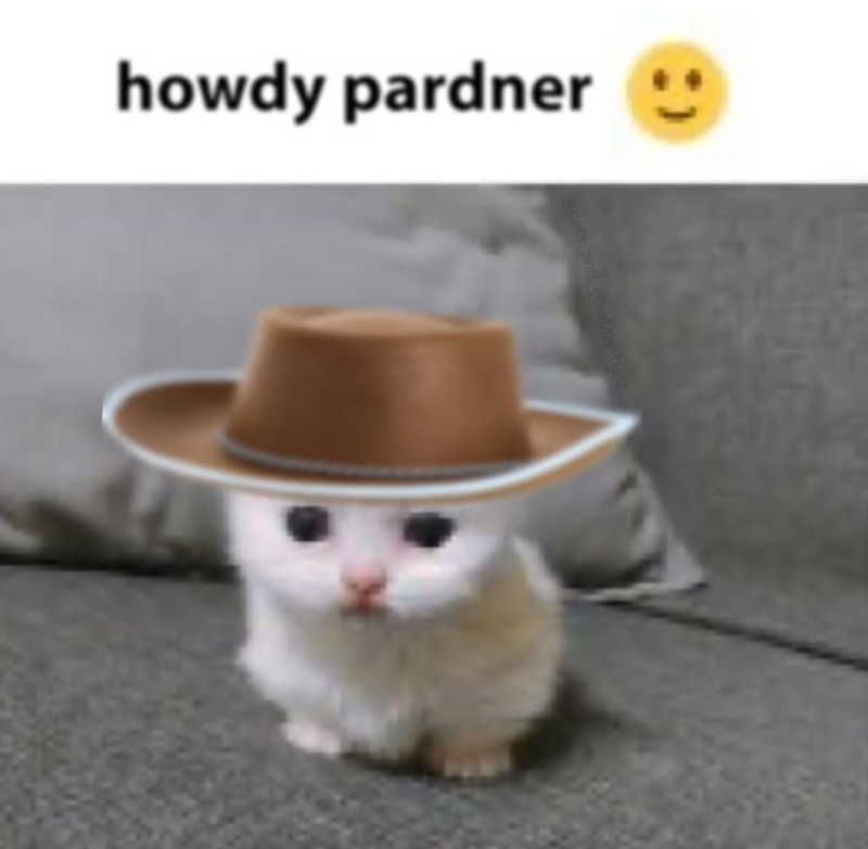 howdy pardner cats and cowboy bal