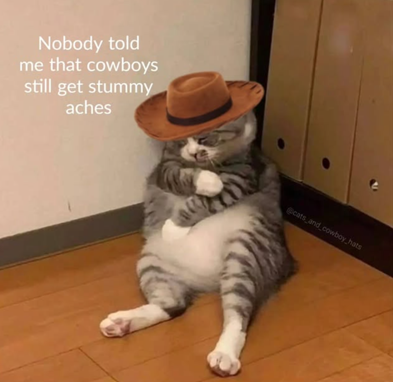 Nobody told me that cowboys still get stummy aches @cats_and_cowboy hats