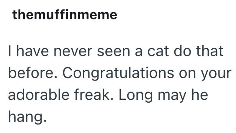 themuffinmeme I have never seen a cat do that before. Congratulations on your adorable freak. Long may he hang.