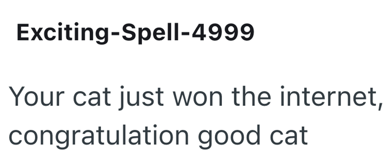 Exciting-Spell-4999 Your cat just won the internet, congratulation good cat