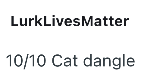 LurkLivesMatter 10/10 Cat dangle