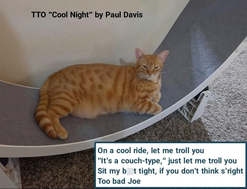TTO "Cool Night" by Paul Davis On a cool ride, let me troll you "It's a couch-type," just let me troll you Sit my bot tight, if you don't think s'right Too bad Joe