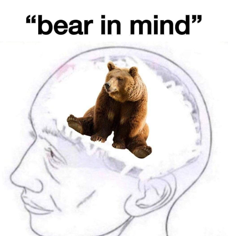 "bear in mind"