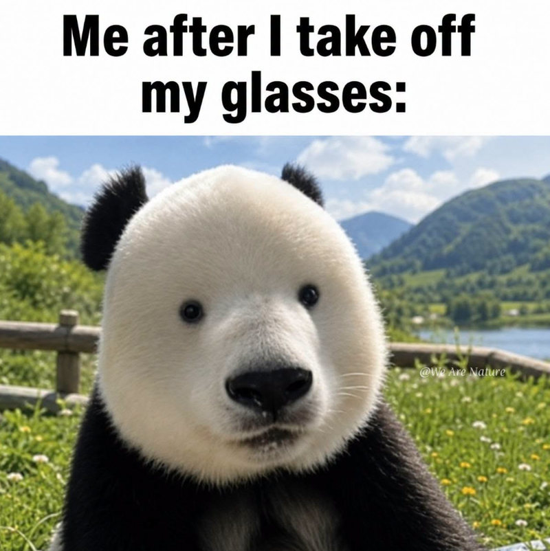 Me after I take off my glasses: @We Are Nature