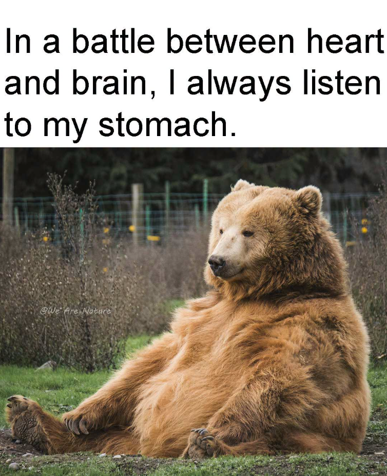 In a battle between heart and brain, I always listen to my stomach. @We Are Nature