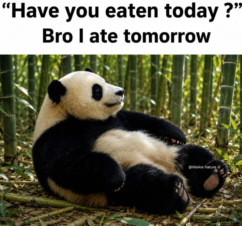 "Have you eaten today?” Bro I ate tomorrow @WeAre Nature