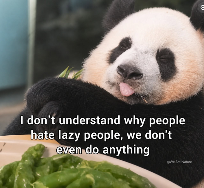 I don't understand why people hate lazy people, we don't even do anything @We Are Nature