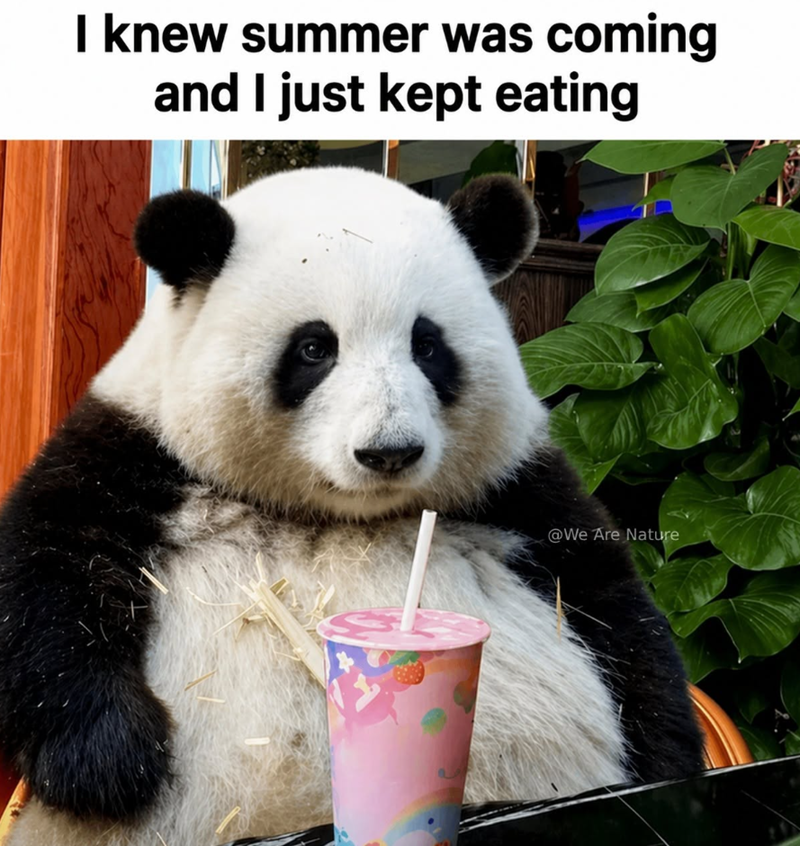 I knew summer was coming and I just kept eating @We Are Nature
