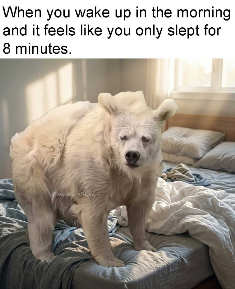 When you wake up in the morning and it feels like you only slept for 8 minutes. We Are Nature