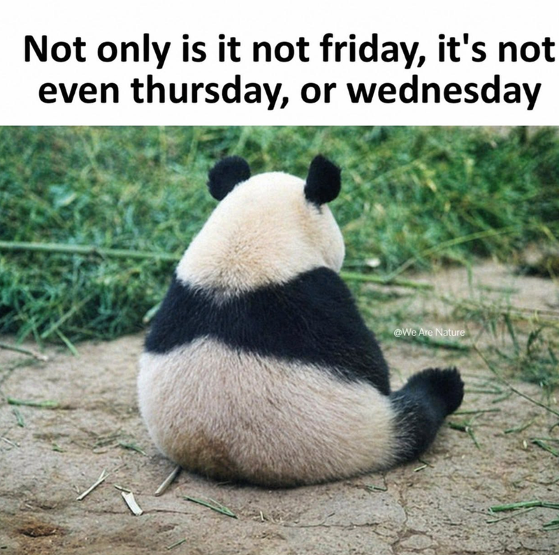 Not only is it not friday, it's not even thursday, or wednesday @We Are Nature