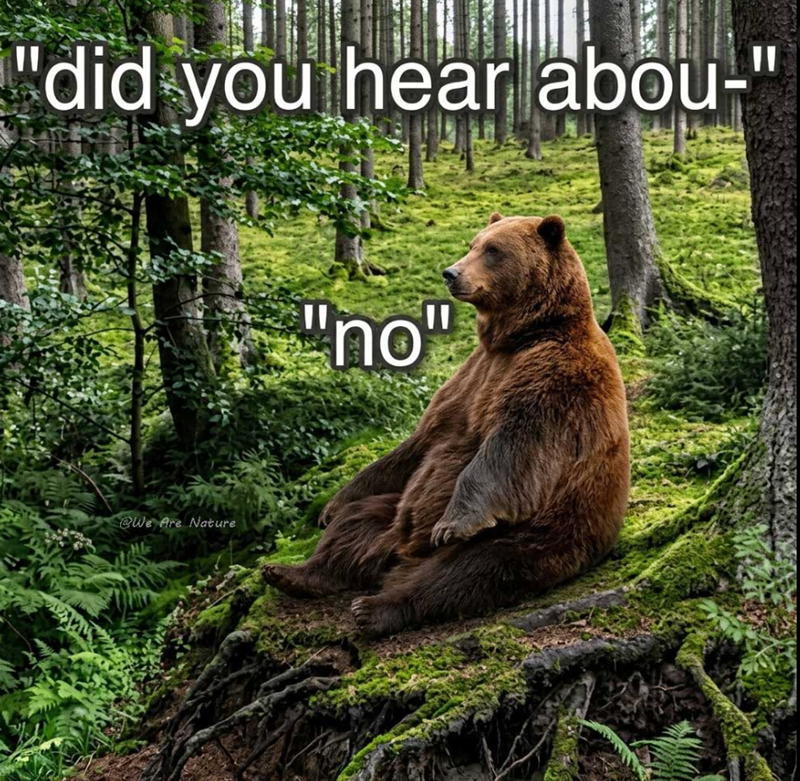 "did you hear abou-" @We Are Nature "no"