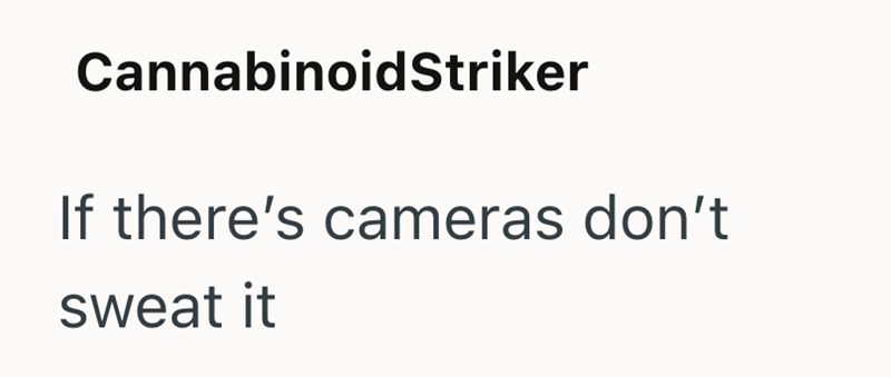 CannabinoidStriker If there's cameras don't sweat it