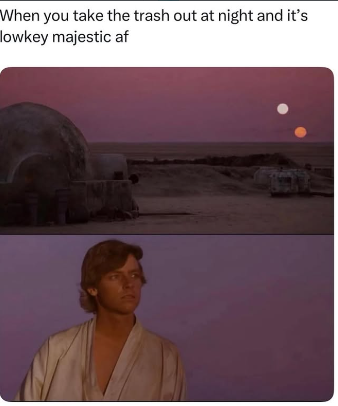 When you take the trash out at night and it's lowkey majestic af