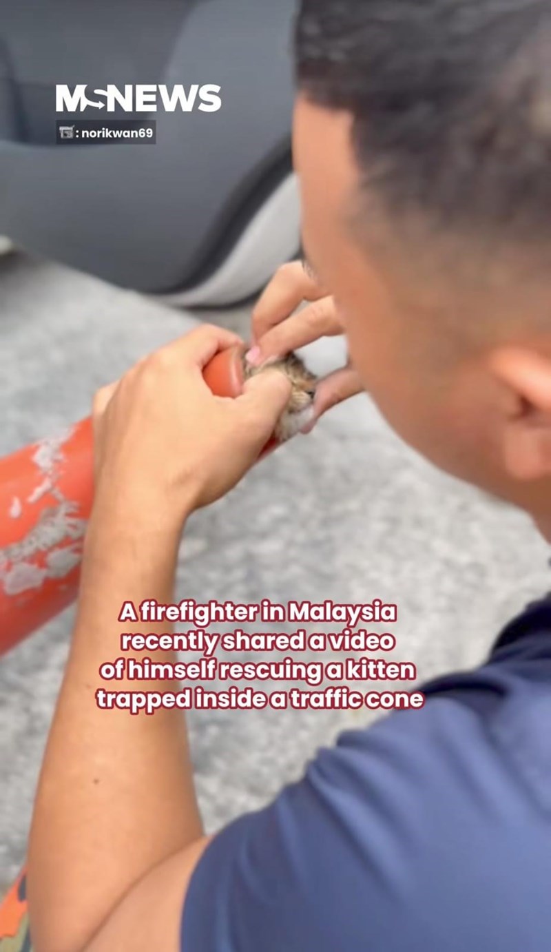 MCNEWS :norikwan69 A firefighter in Malaysia recently shared a video of himself rescuing a kitten trapped inside a traffic cone
