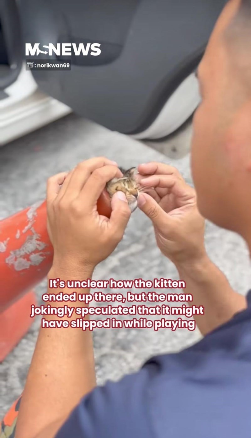 MSNEWS :norikwan69 It's unclear how the kitten ended up there, but the man jokingly speculated that it might have slipped in while playing
