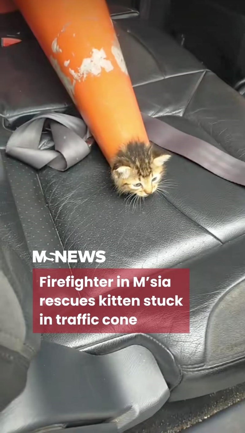 MCNEWS Firefighter in M'sia rescues kitten stuck in traffic cone