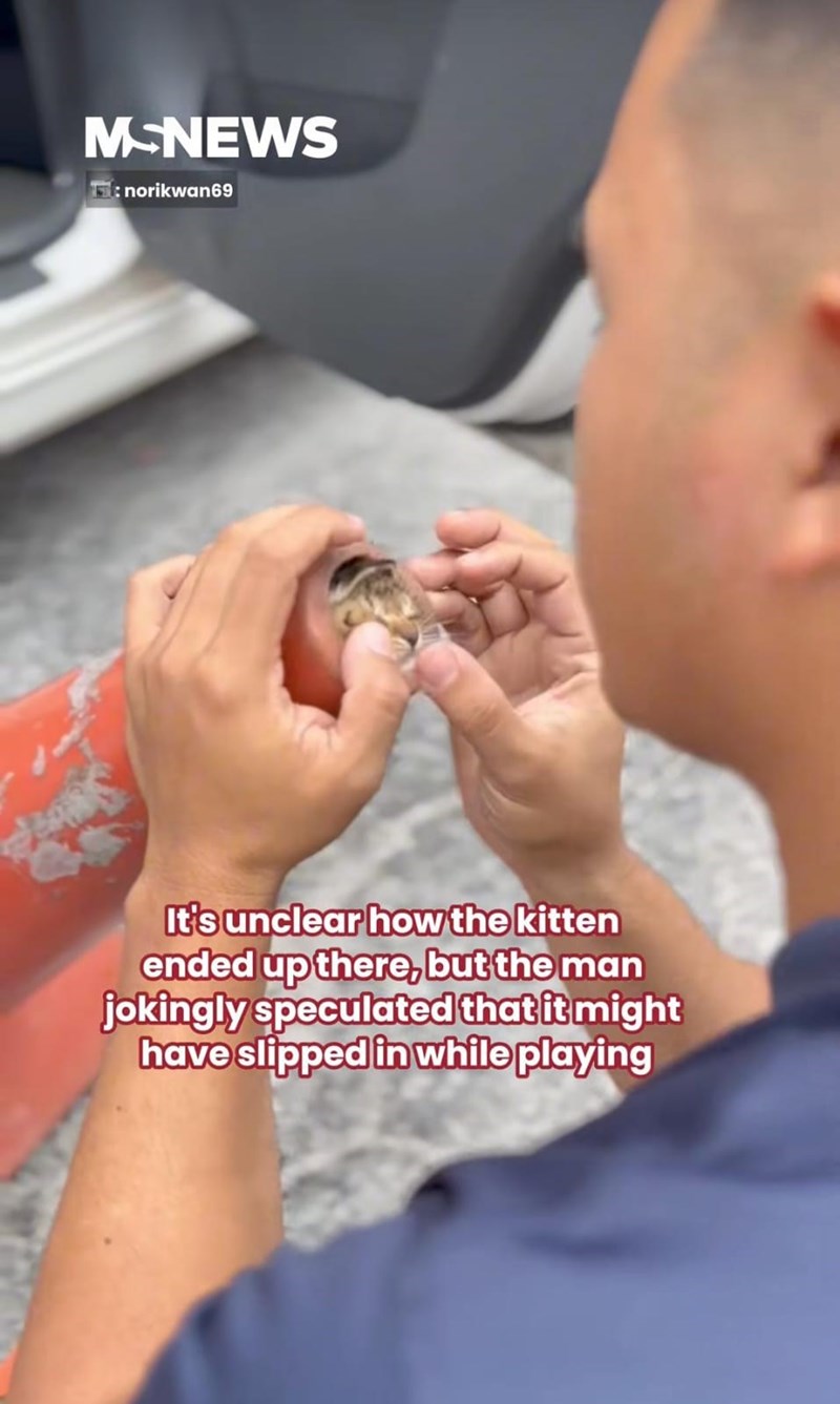MSNEWS : norikwan69 It's unclear how the kitten ended up there, but the man jokingly speculated that it might have slipped in while playing