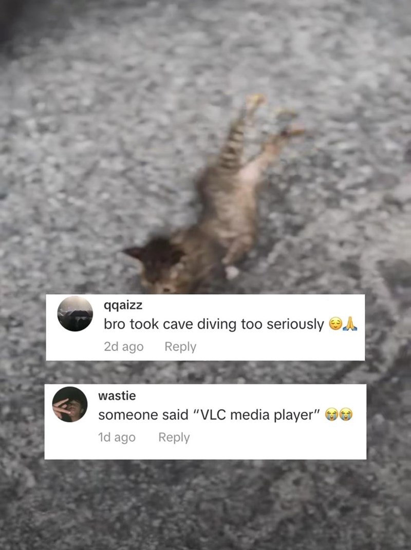 qqaizz bro took cave diving too seriously A 2d ago Reply wastie someone said "VLC media player" 1d ago Reply