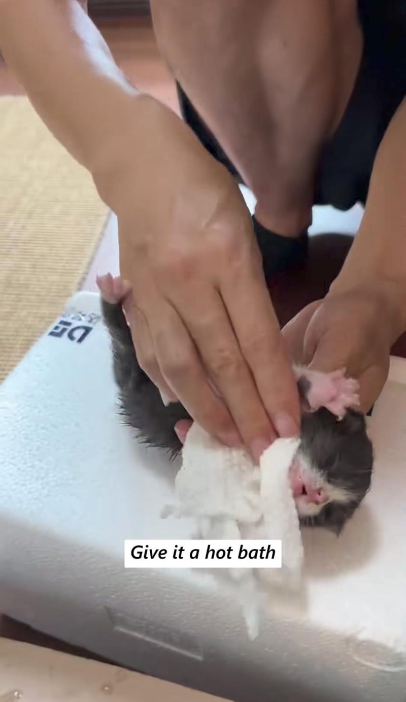 C Give it a hot bath