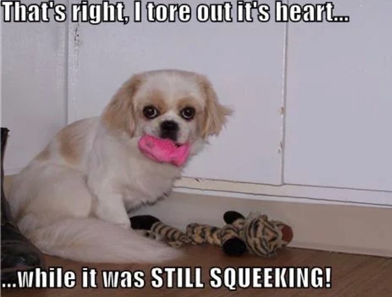 That's right, I tore out it's heart.. ...while it was STILL SQUEEKING!