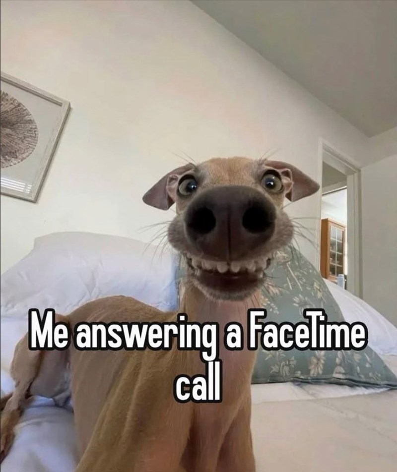 Me answering a FaceTime call