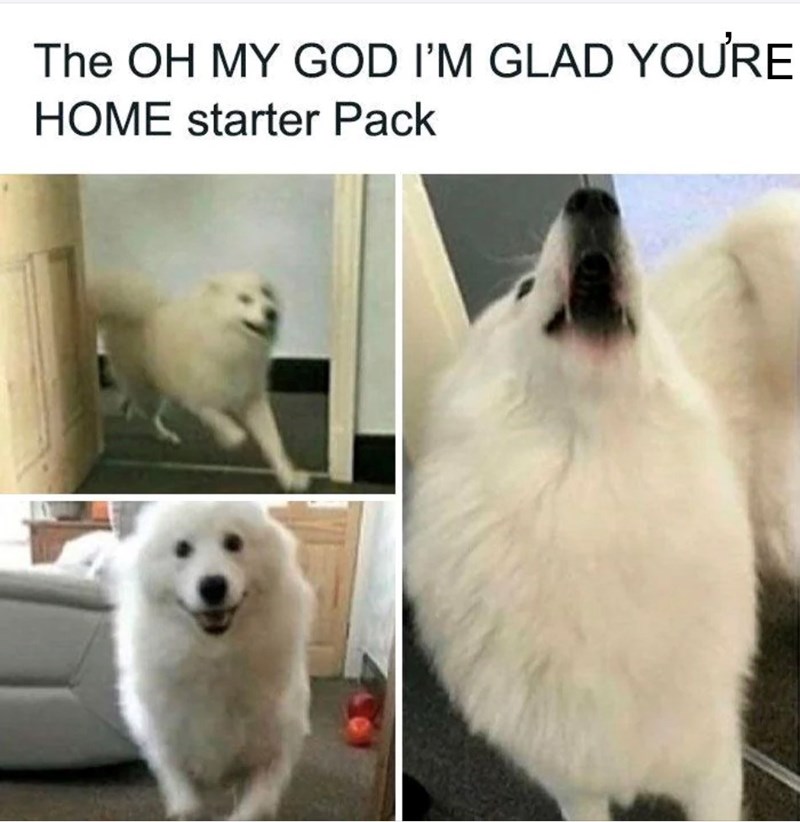The OH MY GOD I'M GLAD YOU'RE HOME starter Pack
