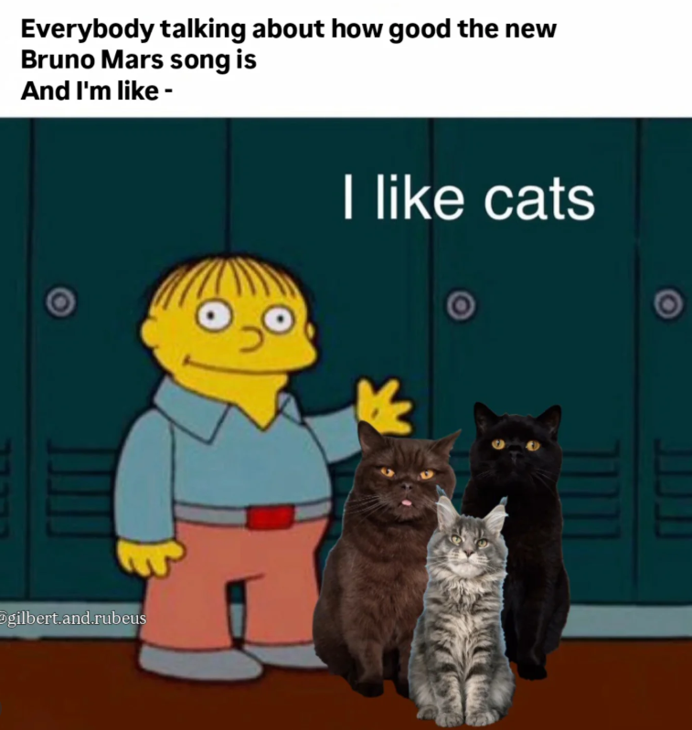 Everybody talking about how good the new Bruno Mars song is And I'm like - gilbert.and.rubeus I like cats
