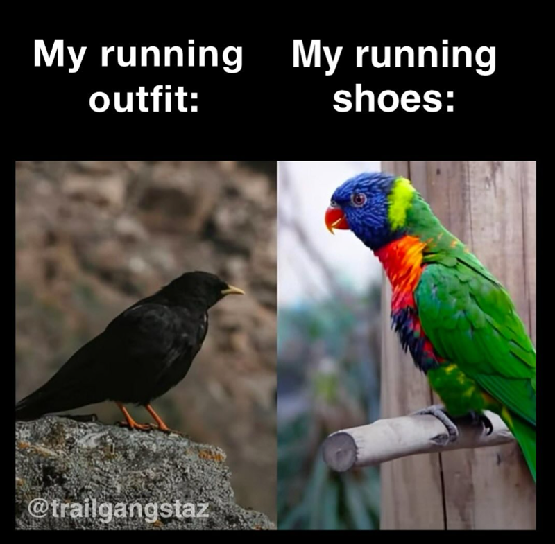 My running My running outfit: @trailgangstaz shoes: