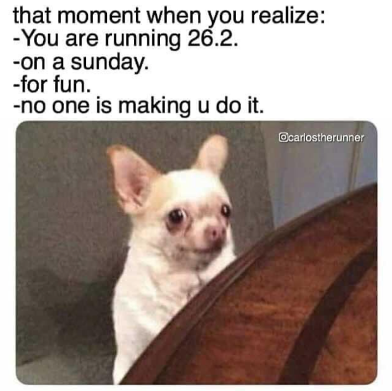 that moment when you realize: -You are running 26.2. -on a sunday. -for fun. -no one is making u do it. @carlostherunner