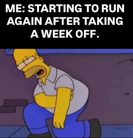 ME: STARTING TO RUN AGAIN AFTER TAKING A WEEK OFF.