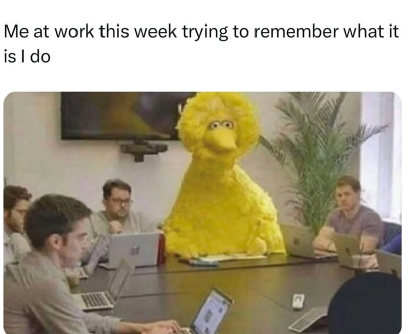 Me at work this week trying to remember what it is I do