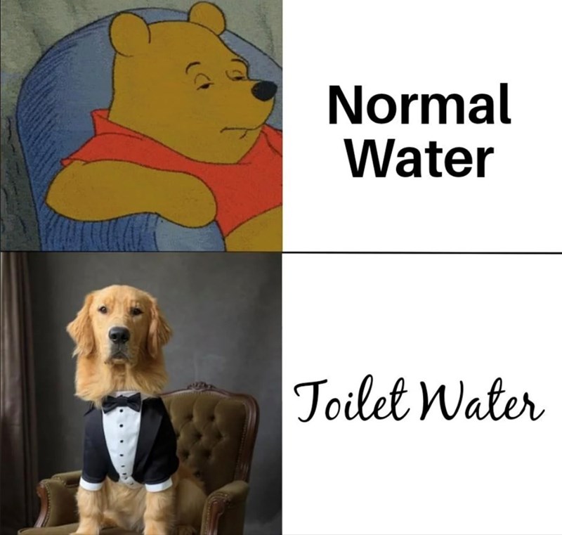 Normal Water Toilet Water