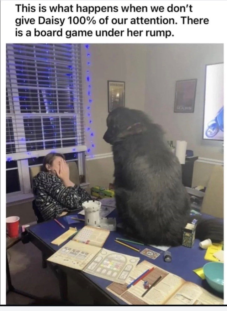 This is what happens when we don't give Daisy 100% of our attention. There is a board game under her rump. MARS