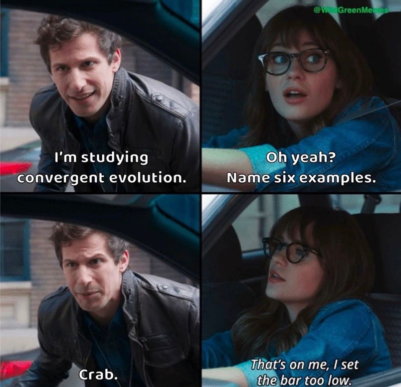 @Wild GreenMemes I'm studying convergent evolution. Oh yeah? Name six examples. Crab. That's on me, I set the bar too low.