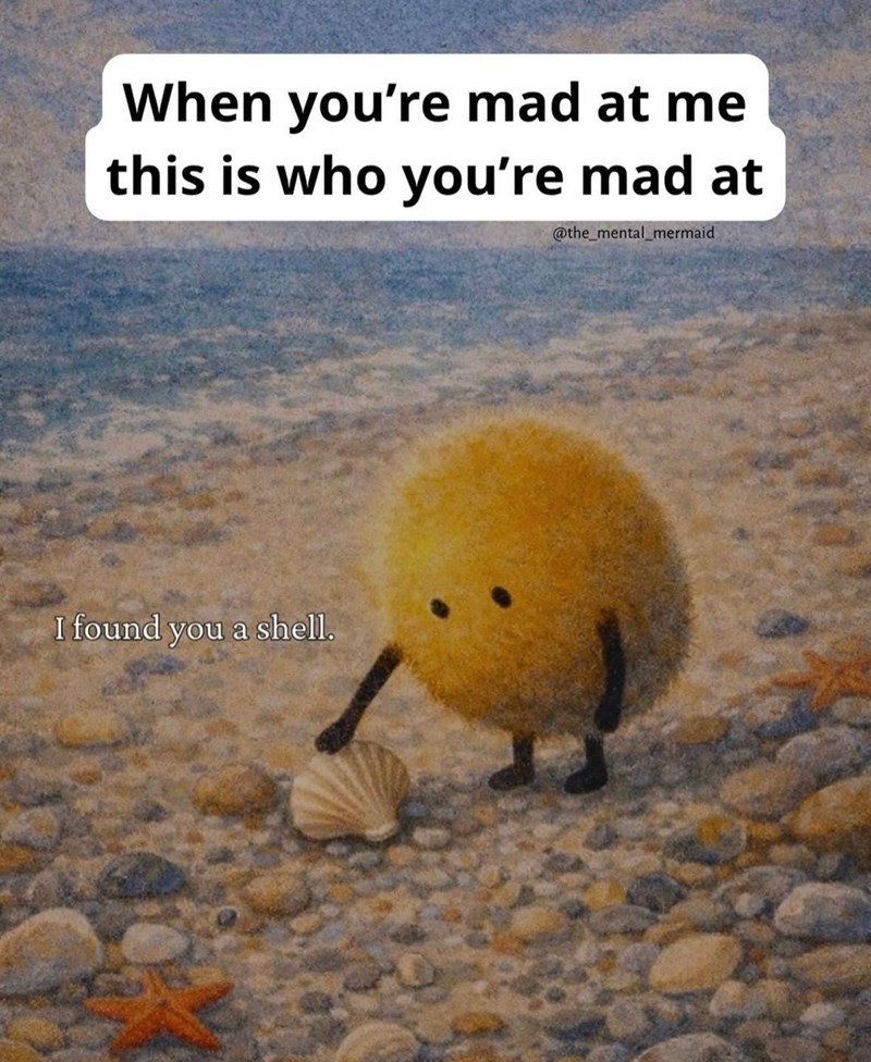 When you're mad at me this is who you're mad at @the_mental_mermaid I found you a shell.