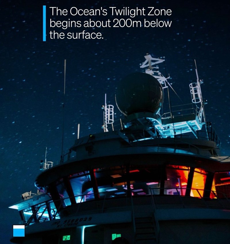 The Ocean's Twilight Zone begins about 200m below the surface. XA S 9508029