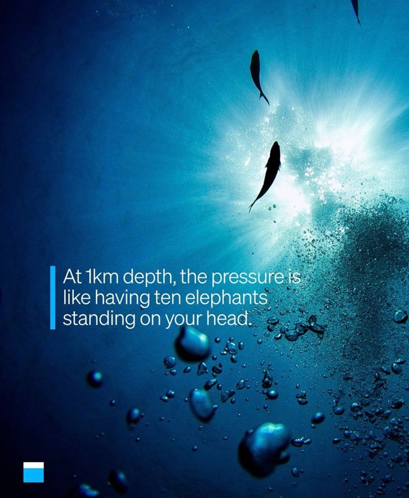 At 1km depth, the pressure is like having ten elephants standing on your head.