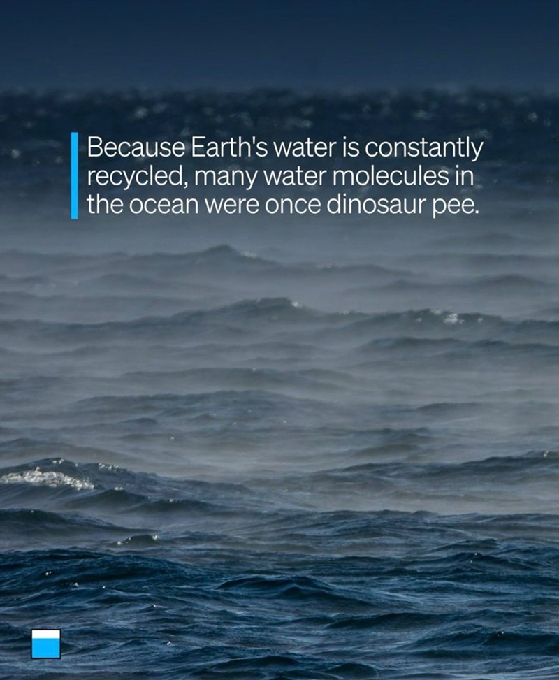 Because Earth's water is constantly recycled, many water molecules in the ocean were once dinosaur pee.